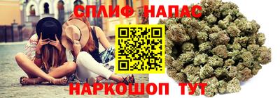 СК Долгопрудный