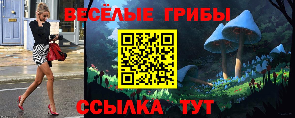 Галлюциногенные грибы GOLDEN TEACHER  где продают наркотики  Псилоцибиновые грибы Magic Shrooms  Богородск  Вход с VPN 